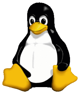 C++